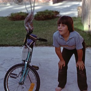 dress-it-up-avocado-poppy-seed-dressing