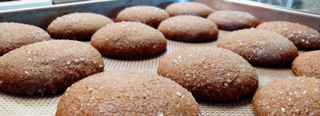Fat Free Ginger Cookies // Tiny Kitchen Big Taste // Michael Fucci