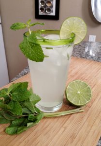 Mojito // Tiny Kitchen Big Taste