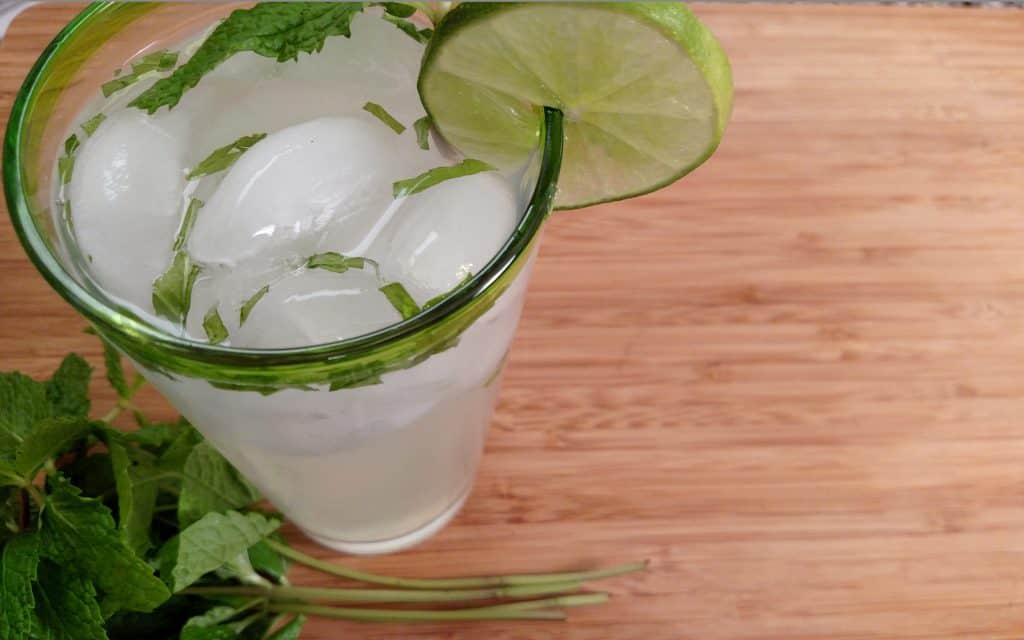 Mojito //Tiny Kitchen Big Taste