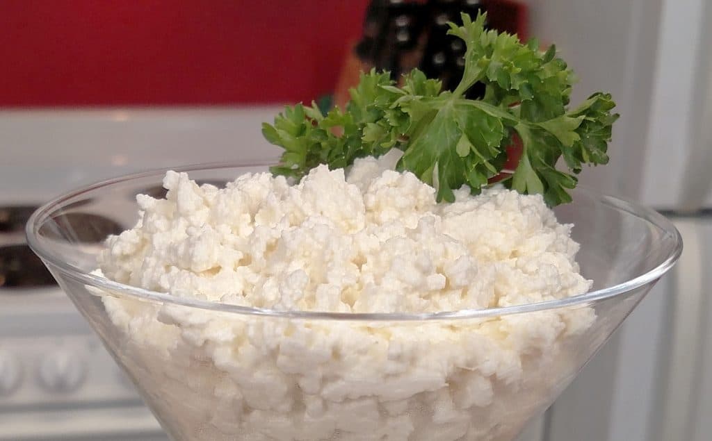 Ricotta Cheese // Tiny Kitchen Big Taste