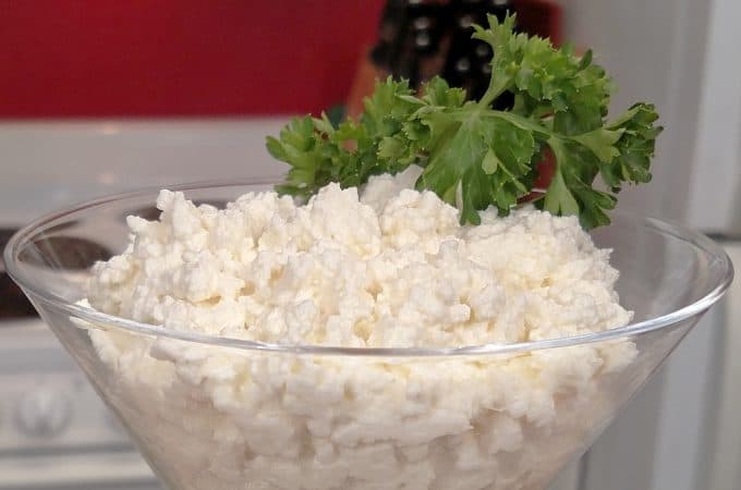 Ricotta Cheese in a martini glass
