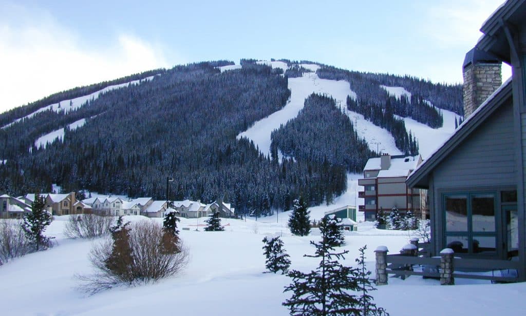 Indoor BBQ Chicken Grill // Tiny Kitchen Big Taste