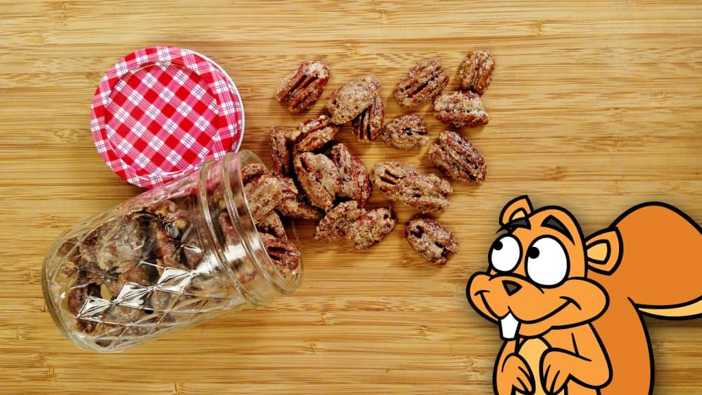 Candied Pecans // Tiny Kitchen Big Taste