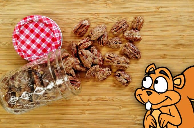 spilled jar of Candied Pecans on bamboo cutting board with 2D animated squirrel