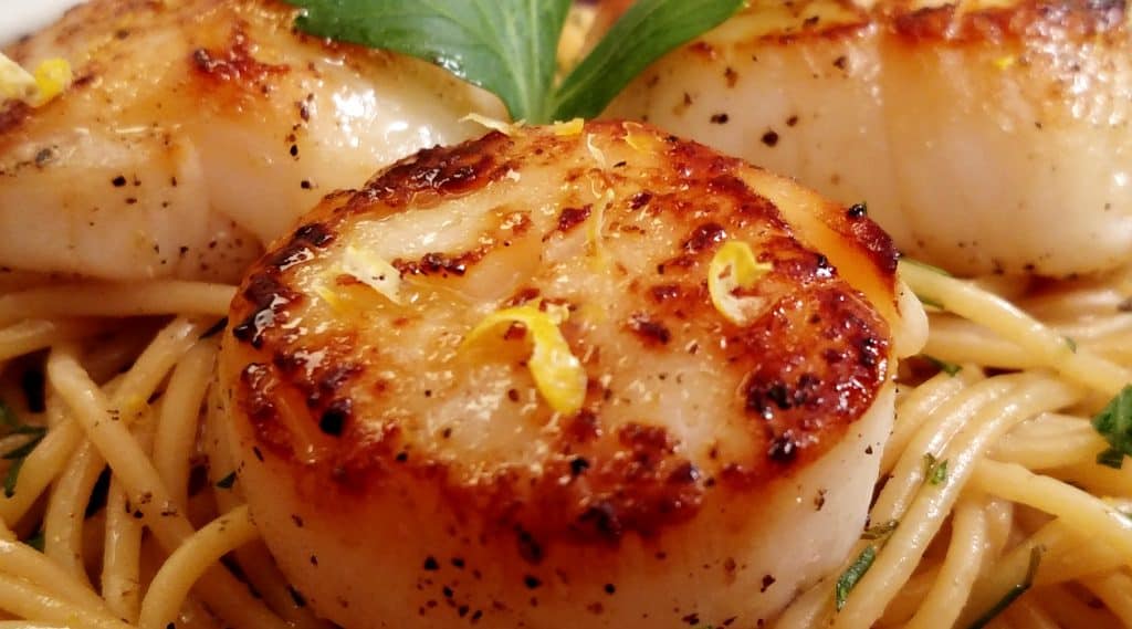 Seared Scallops // Tiny Kitchen Big Taste