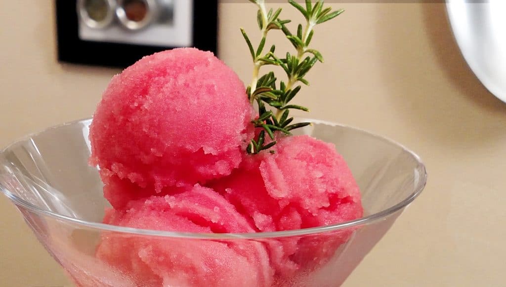 Watermelon Sorbet // Tiny Kitchen Big Taste