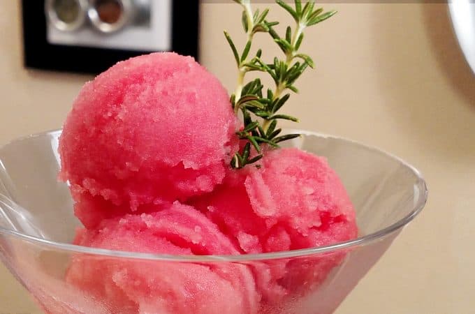 Watermelon Sorbet in a martini glass with a sprig of rosemary
